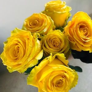 Meet your Posher, Ciara